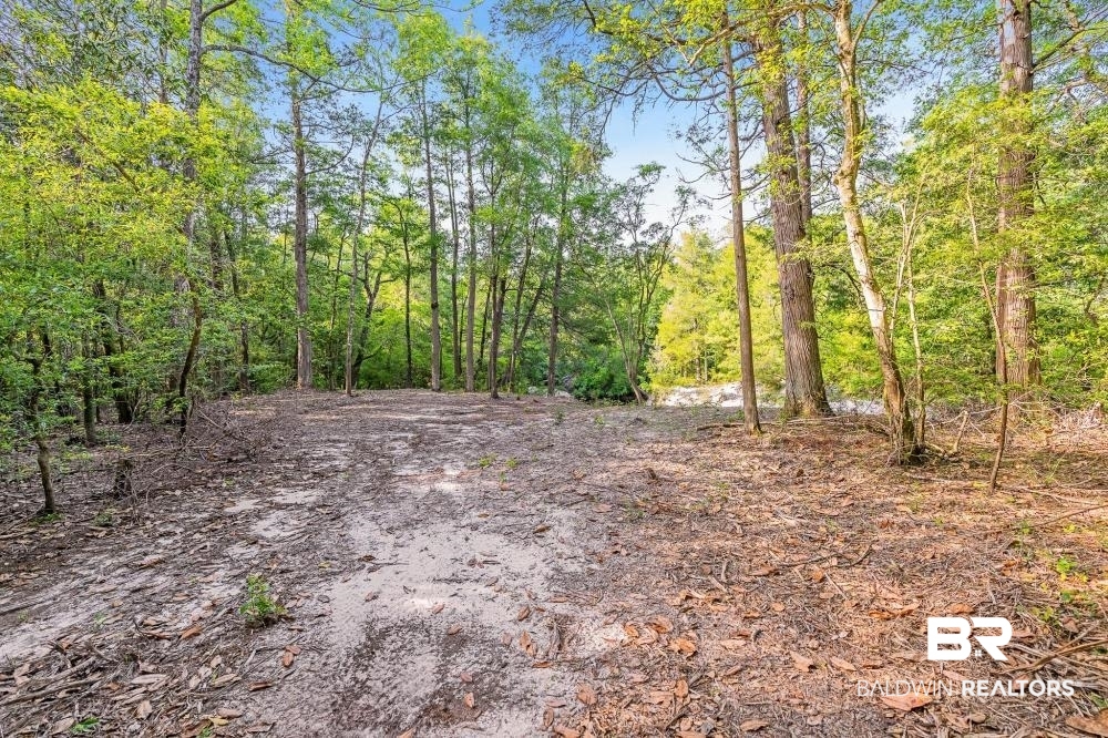 11100 Kali Oka Road Eight Mile, AL 36613 - Photo 23 of 49