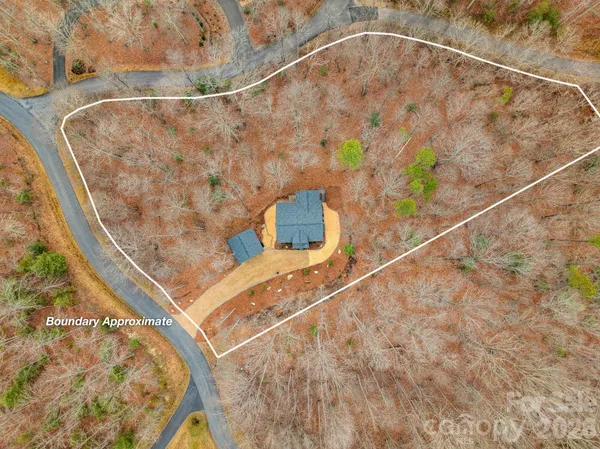 a view of a dry yard with green space