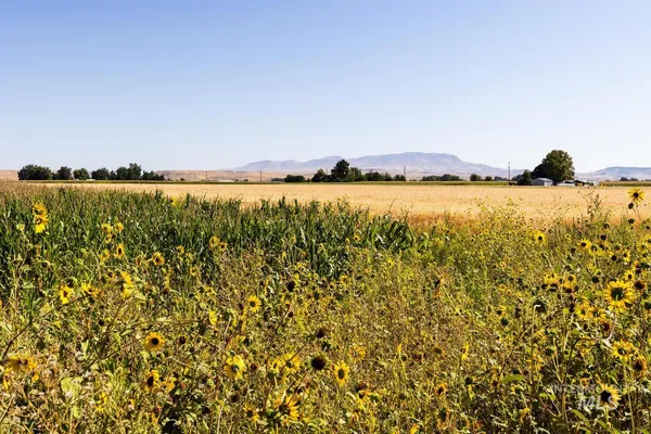 $650,000 | 4 Ave Emmett Id 83617 Avenue, Emmett, ID 83617