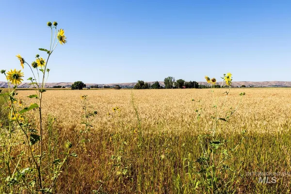 $650,000 | 4 Ave Emmett Id 83617 Avenue, Emmett, ID 83617