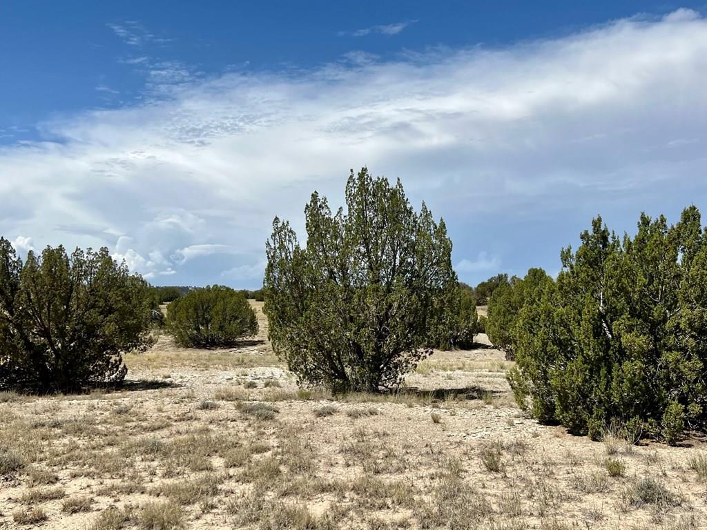 93.9 County Road 93.9 Model, CO 81059 - Photo 25 of 40