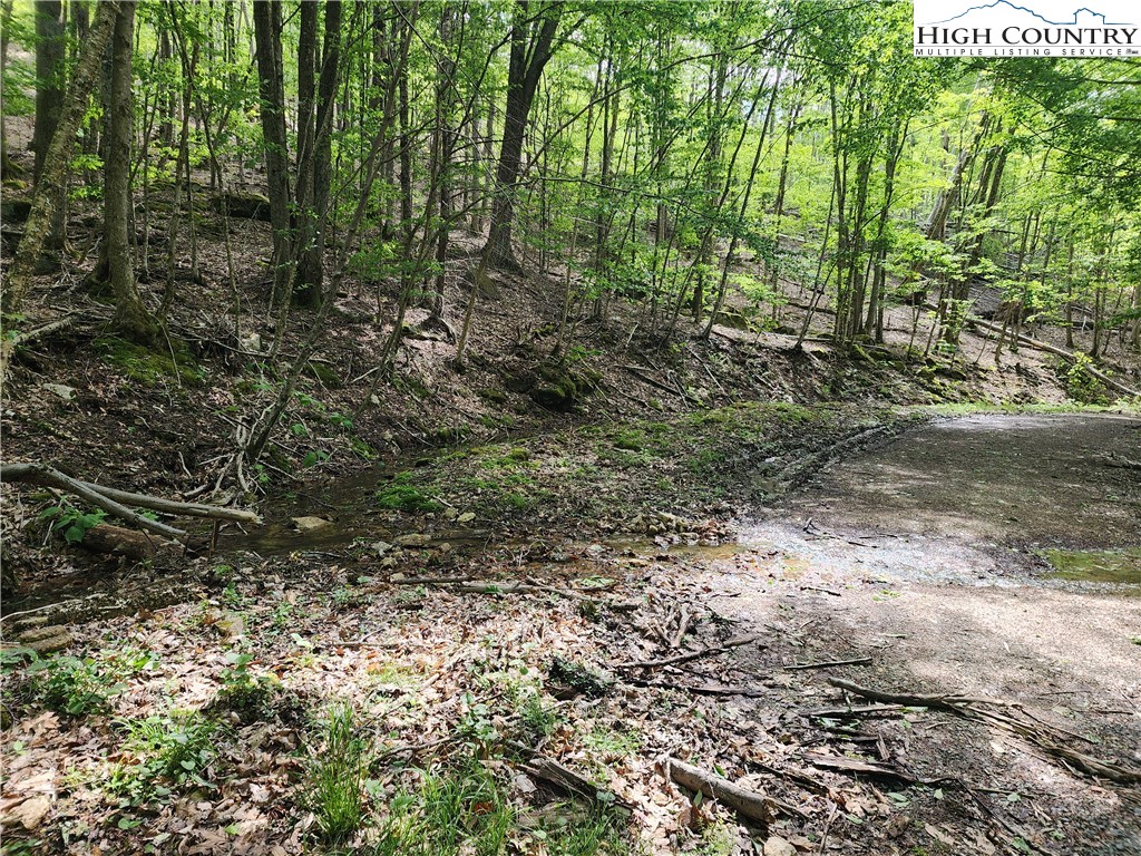 138 Hollow Tree Road Beech Mountain, NC 28604 - Photo 1 of 2 Gallery Image 1