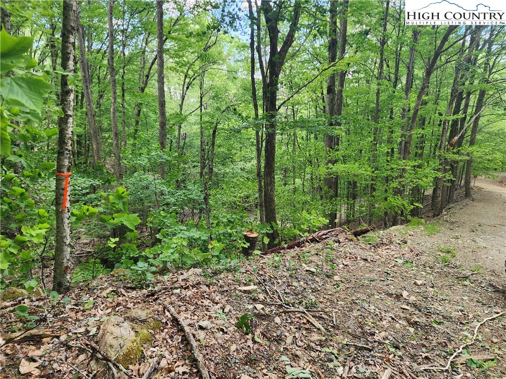 138 Hollow Tree Road Beech Mountain, NC 28604 - Photo 2 of 2 Gallery Image 2