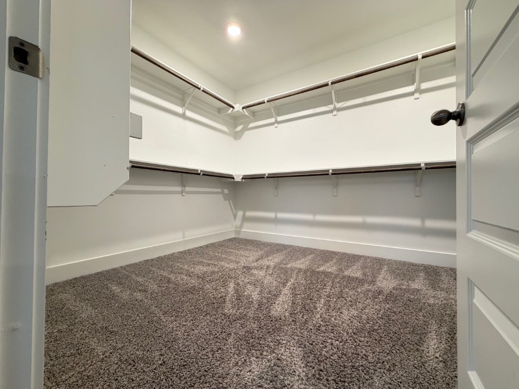 7417 Acela Trail, Unit 231 Austin, TX 78744 - Photo 10 of 15 Walk in closet with carpet flooring