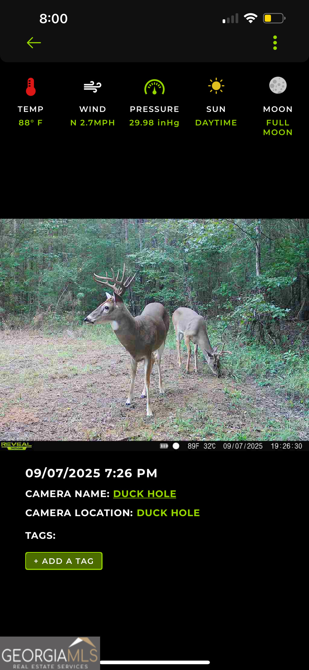 1039 Wright Road Dublin, GA 31021 - Photo 11 of 16