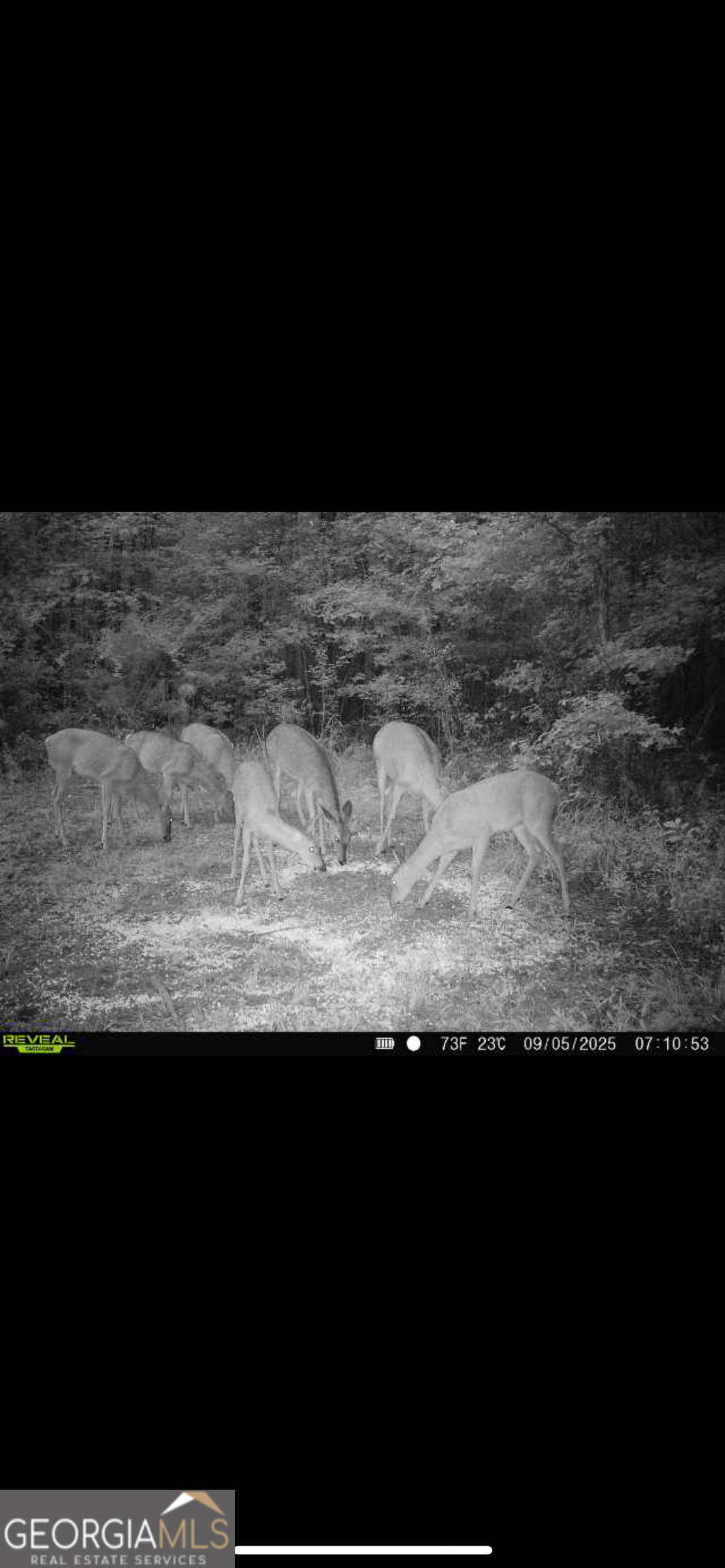 1039 Wright Road Dublin, GA 31021 - Photo 12 of 16