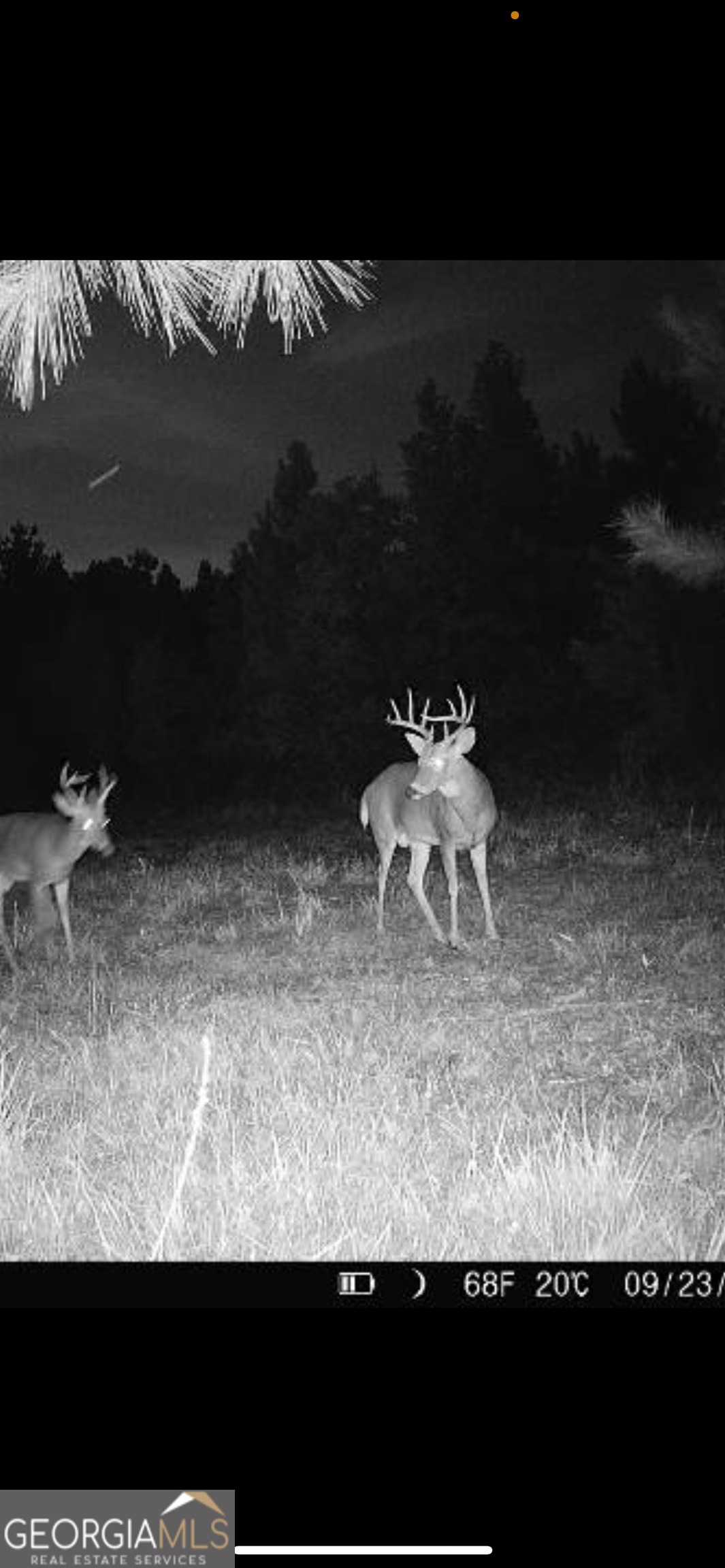 1039 Wright Road Dublin, GA 31021 - Photo 13 of 16