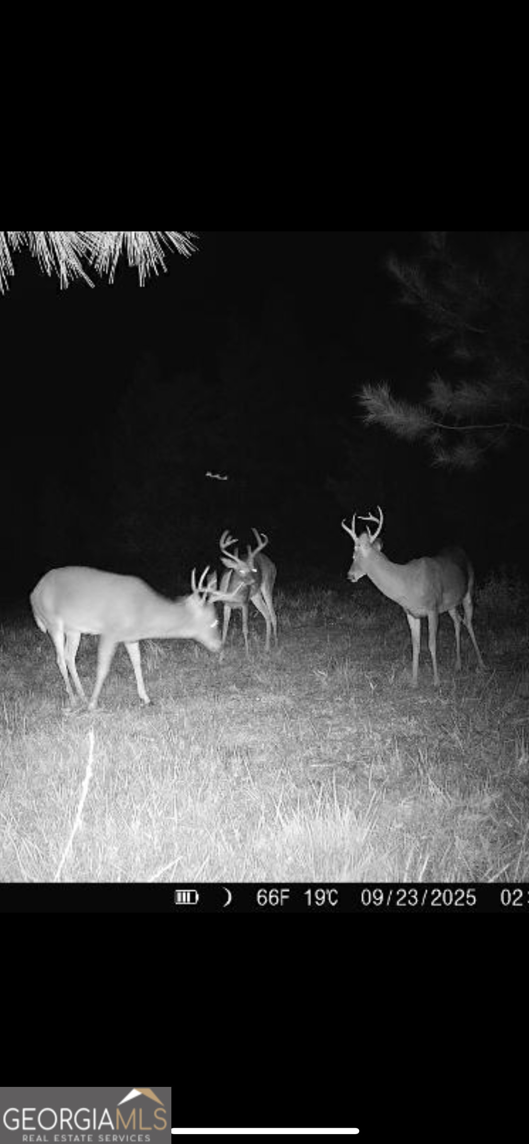 1039 Wright Road Dublin, GA 31021 - Photo 14 of 16