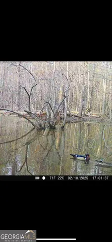 $435,000 | 1039 Wright Road, Dublin, GA 31021