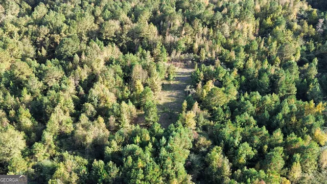 $435,000 | 1039 Wright Road, Dublin, GA 31021