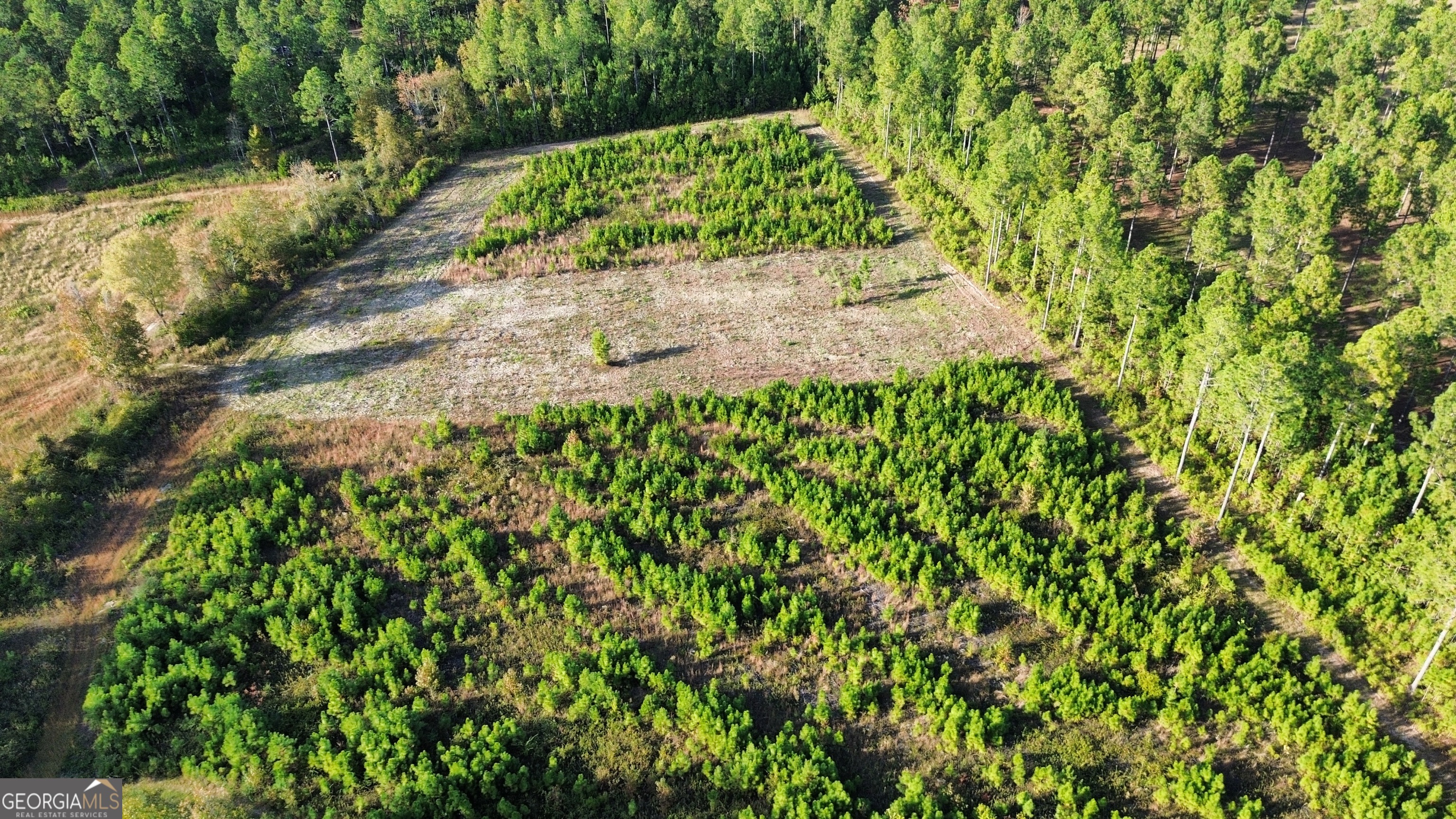 1039 Wright Road Dublin, GA 31021 - Photo 4 of 16