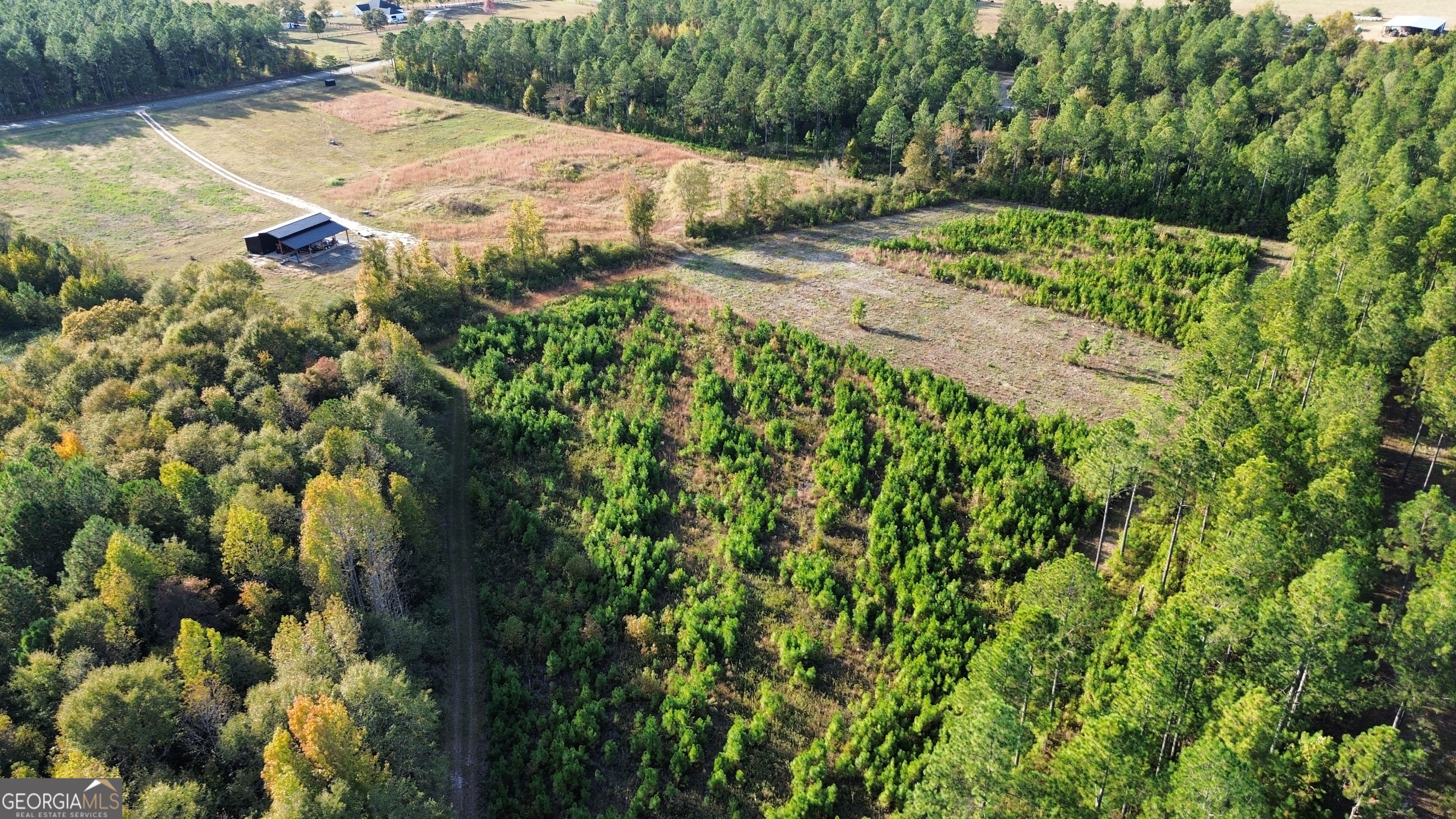 1039 Wright Road Dublin, GA 31021 - Photo 5 of 16