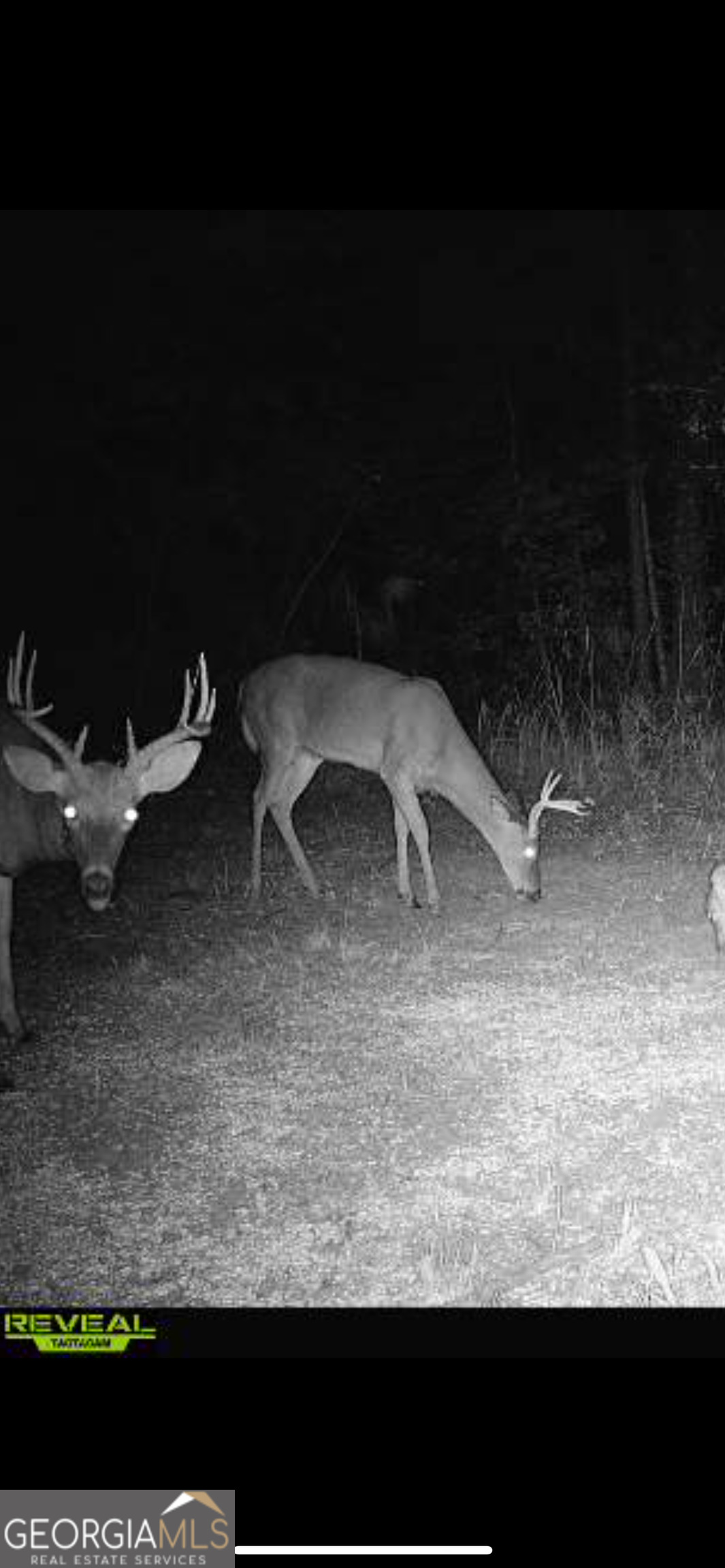 1039 Wright Road Dublin, GA 31021 - Photo 8 of 16