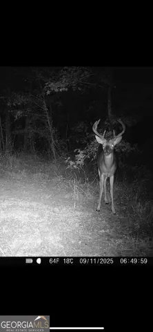 $435,000 | 1039 Wright Road, Dublin, GA 31021