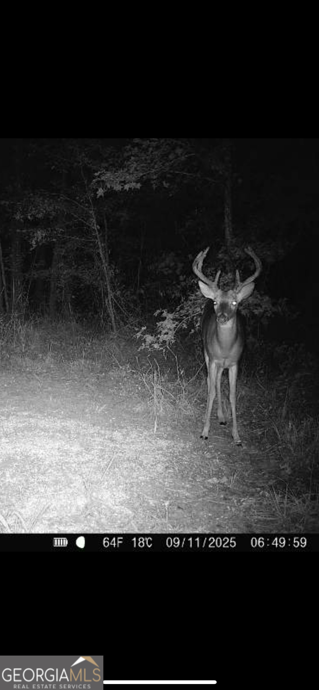 1039 Wright Road Dublin, GA 31021 - Photo 9 of 16