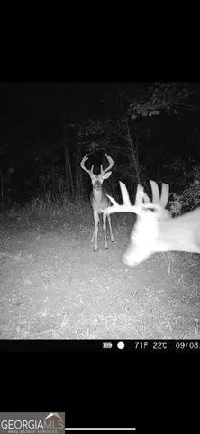 $435,000 | 1039 Wright Road, Dublin, GA 31021