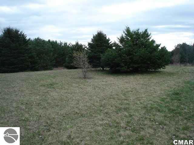 7581 South Summerton Road Shepherd, MI 48883 - Photo 24 of 25 1770070-23.JPG