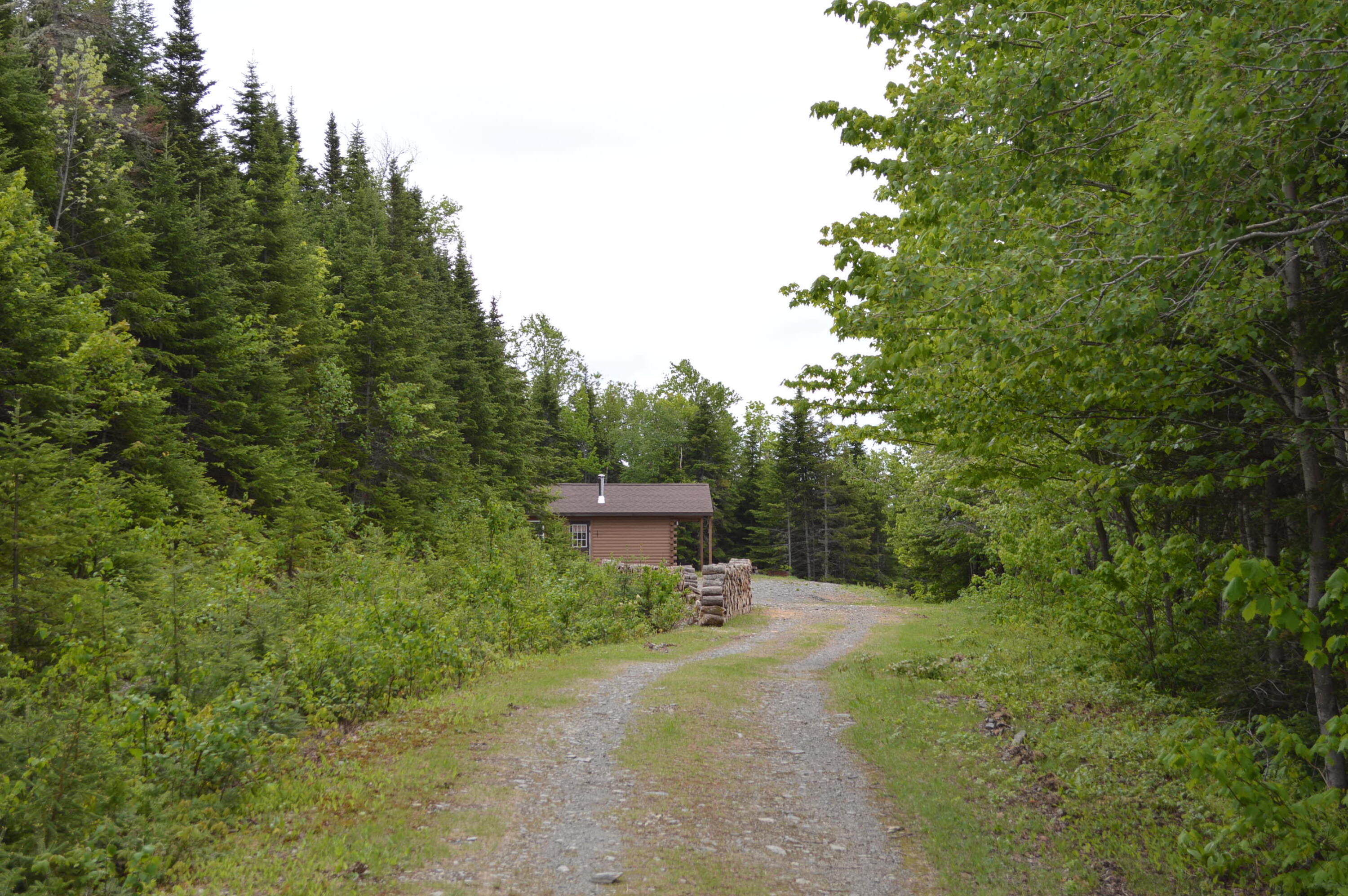 739 Charette Hill Road Fort Kent, ME 04743 - Photo 4 of 29 Approaching cabin