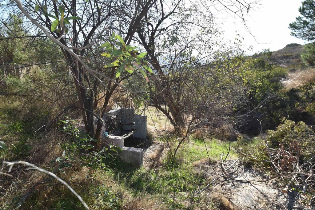 1824 Grace Ranch Road Dulzura, CA 91917 - Photo 1 of 1 a backyard of a house with lots of green space