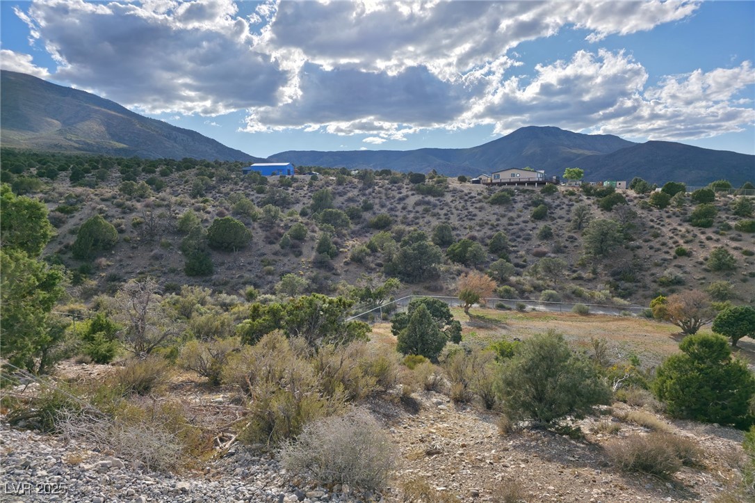 Bugling Bull Road Cold Creek, NV 89124 - Photo 25 of 37