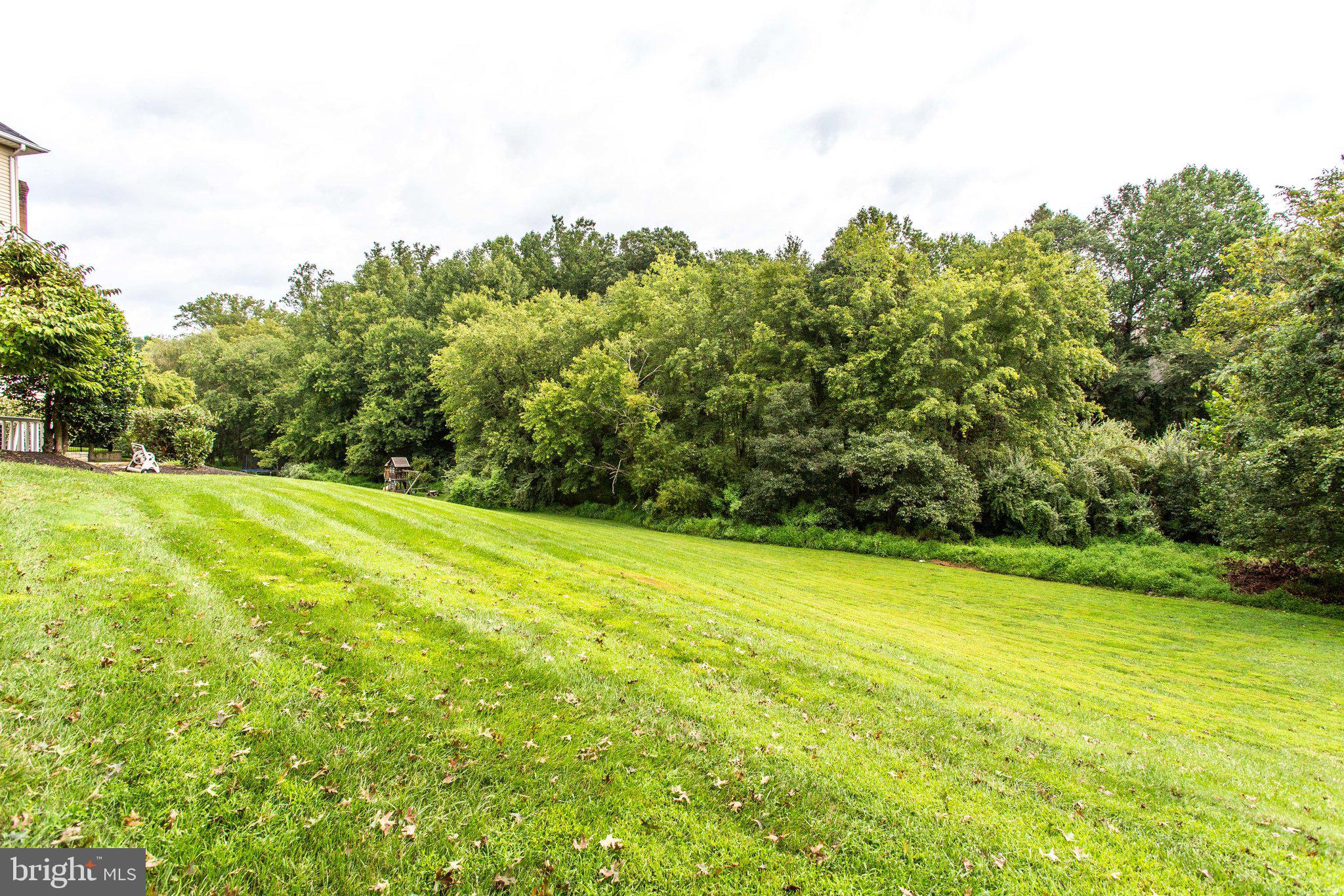 1709 Raleigh Hill Road Vienna, VA 22182 - Photo 70 of 83 Gallery Image 70