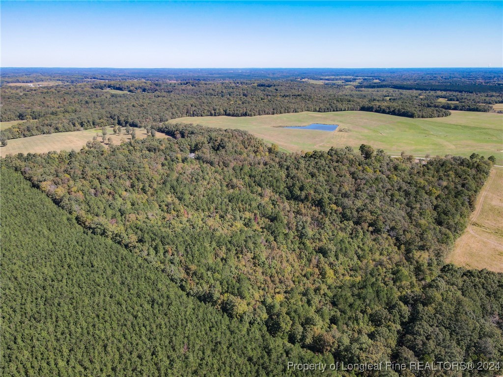 Haw Branch Road Sanford, NC 27330 - Photo 16 of 20 Gallery Image 16