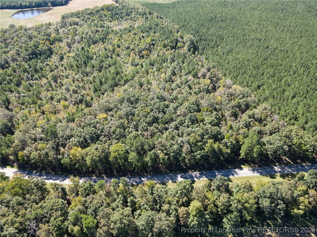 Haw Branch Road Sanford, NC 27330 - Photo 17 of 20 Gallery Image 17