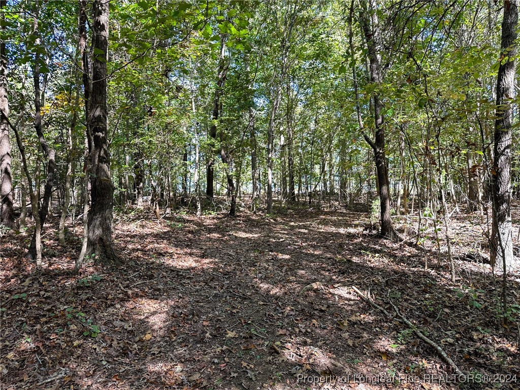 Haw Branch Road Sanford, NC 27330 - Photo 18 of 20 Gallery Image 18