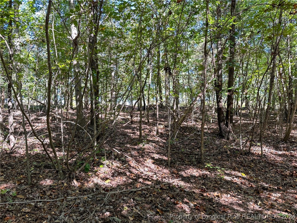 Haw Branch Road Sanford, NC 27330 - Photo 20 of 20 Gallery Image 20
