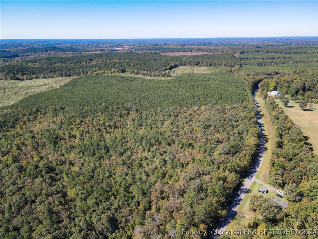 Haw Branch Road Sanford, NC 27330 - Photo 3 of 20 Gallery Image 3