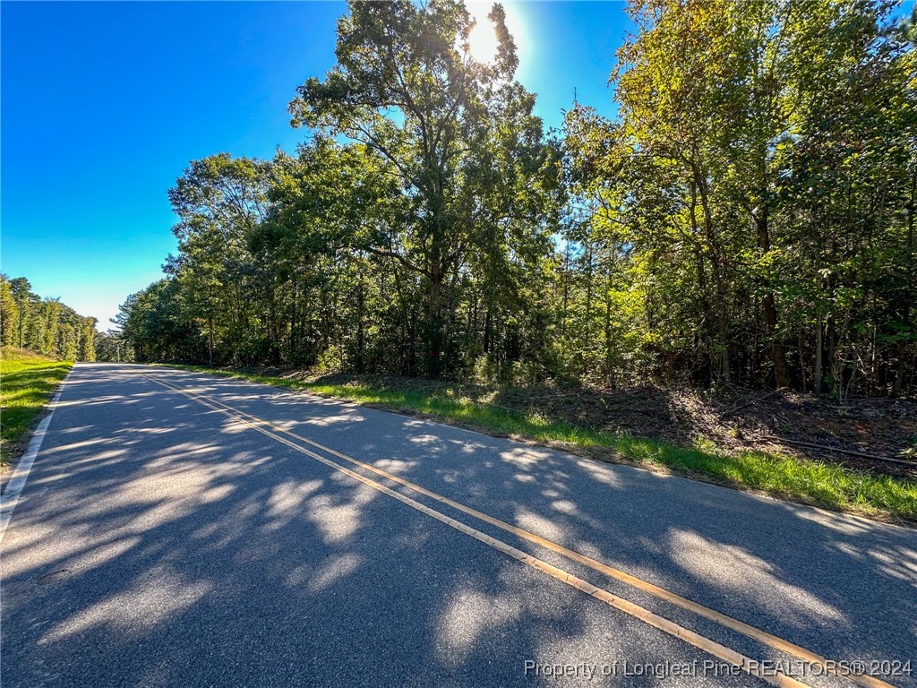 Haw Branch Road Sanford, NC 27330 - Photo 4 of 20 Gallery Image 4