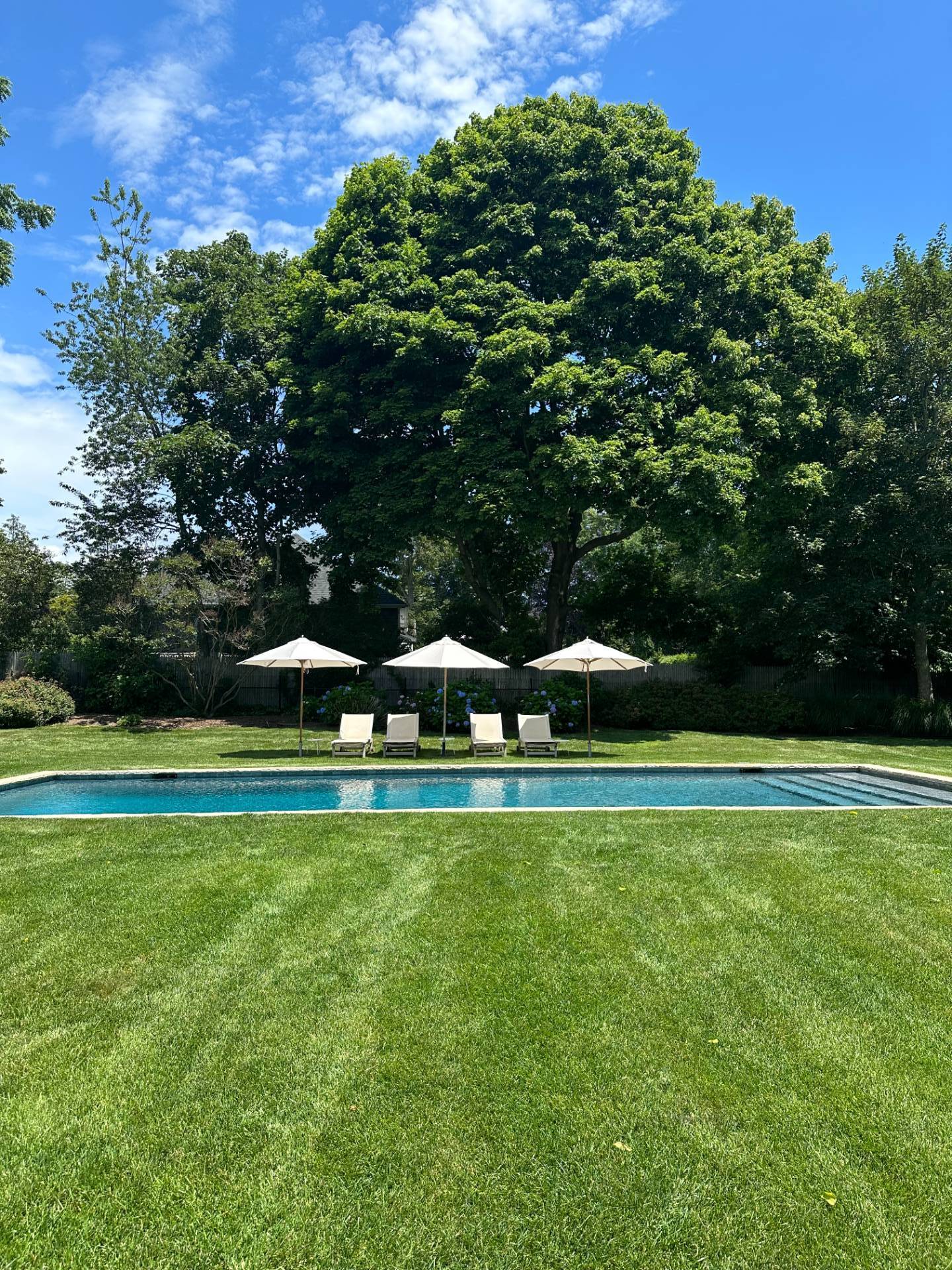 Undisclosed Address Bridgehampton, NY 11932 - Photo 2 of 19 a white and green field with lots of bushes