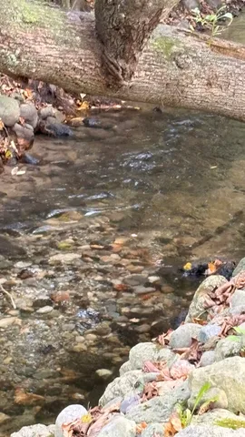 $329,900 | 2480 South 148th Avenue, Hesperia, MI 49421