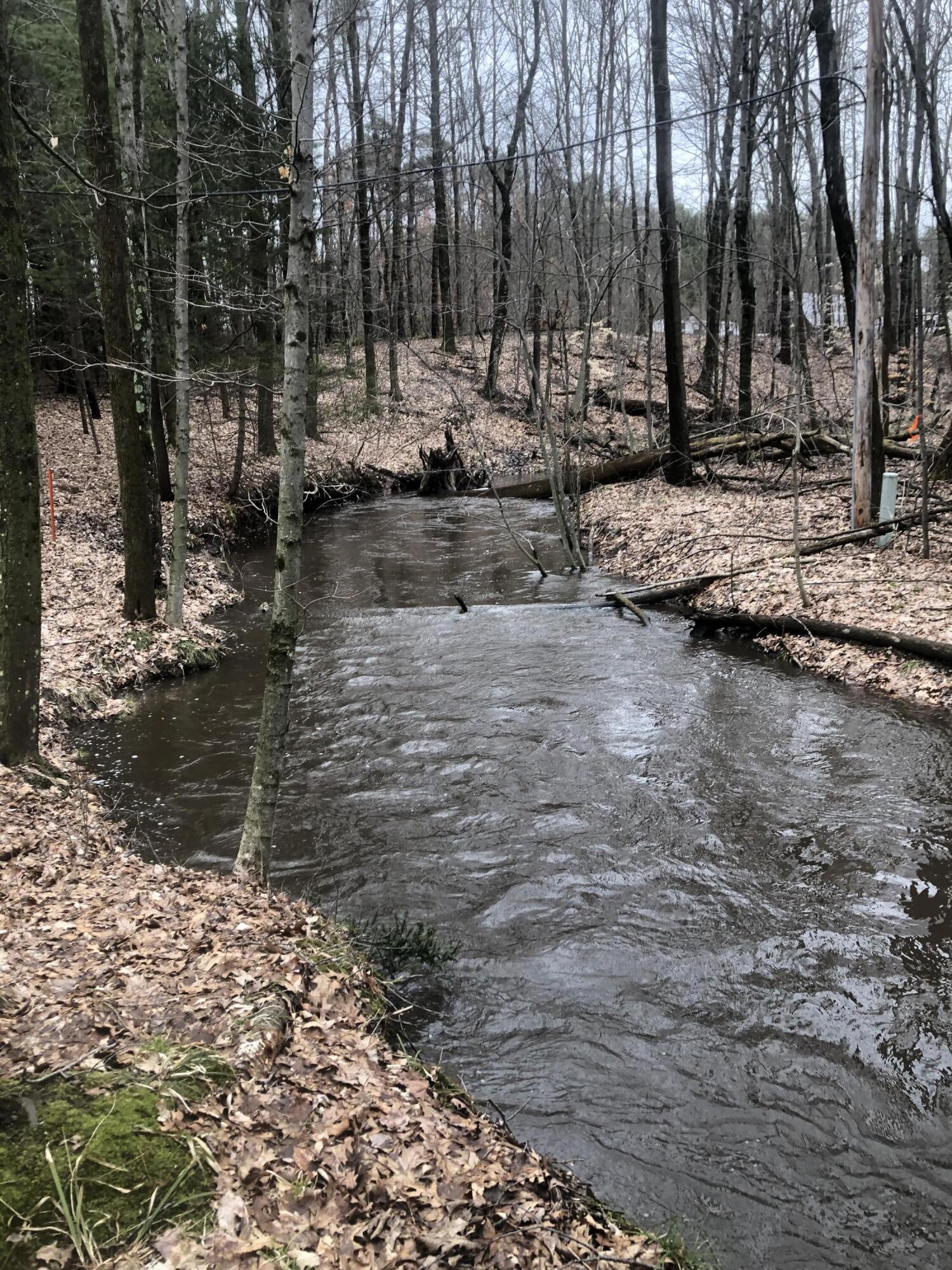 2480 South 148th Avenue Hesperia, MI 49421 - Photo 25 of 33 image2