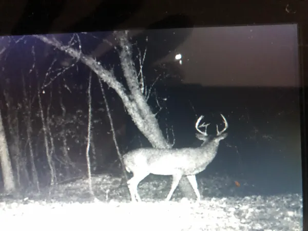 $329,900 | 2480 South 148th Avenue, Hesperia, MI 49421