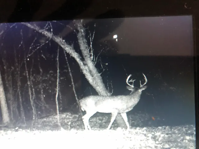 $329,900 | 2480 South 148th Avenue, Hesperia, MI 49421