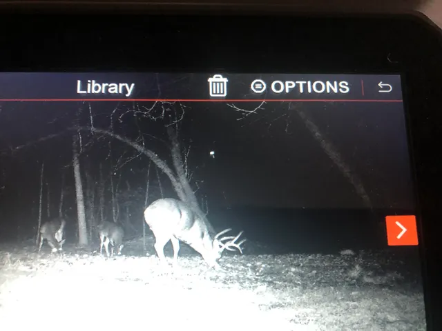 $329,900 | 2480 South 148th Avenue, Hesperia, MI 49421