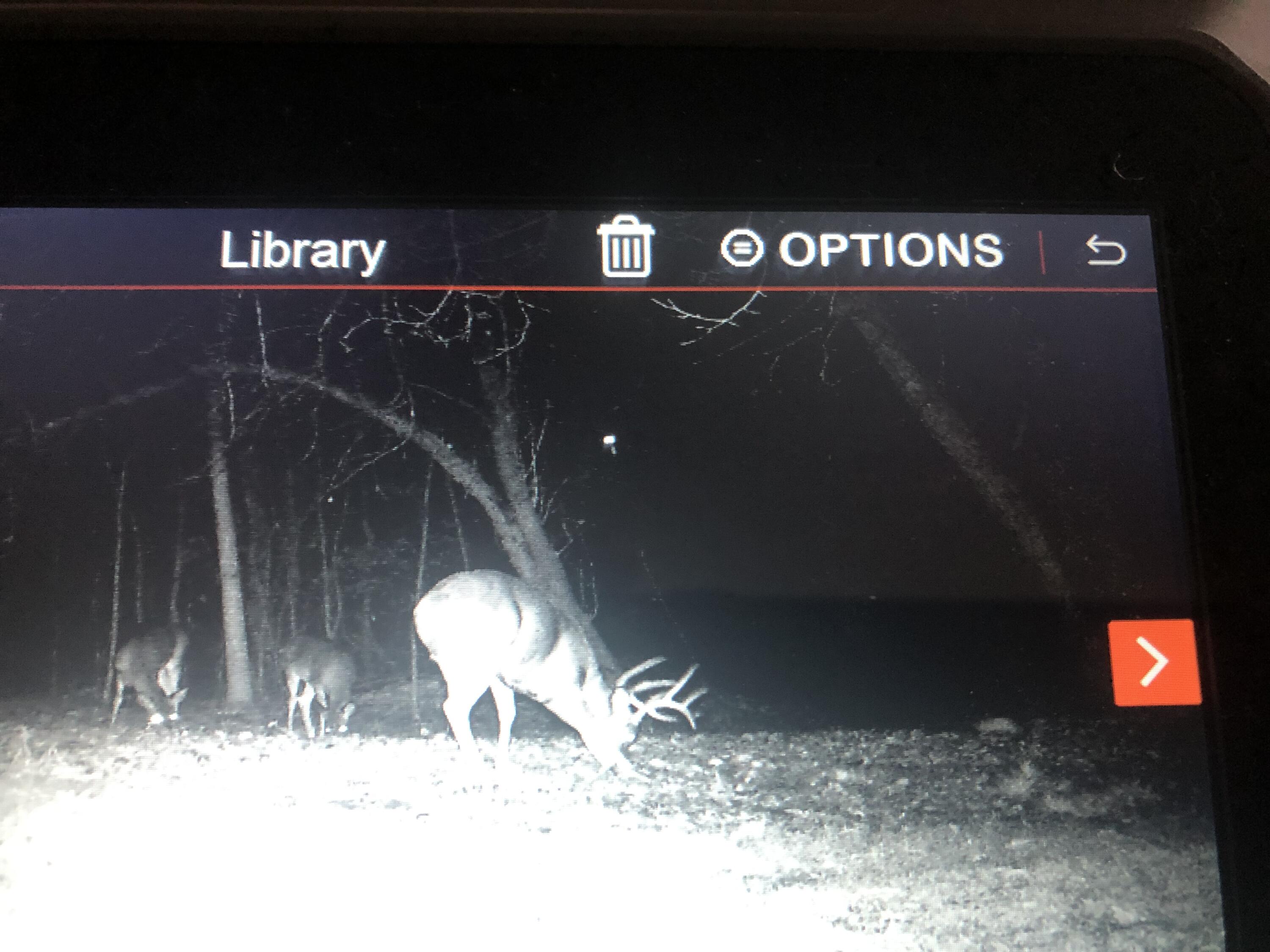 2480 South 148th Avenue Hesperia, MI 49421 - Photo 27 of 33 image4