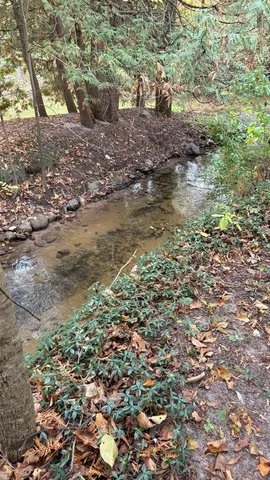 $329,900 | 2480 South 148th Avenue, Hesperia, MI 49421