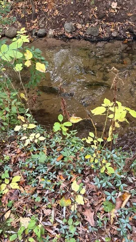 $329,900 | 2480 South 148th Avenue, Hesperia, MI 49421