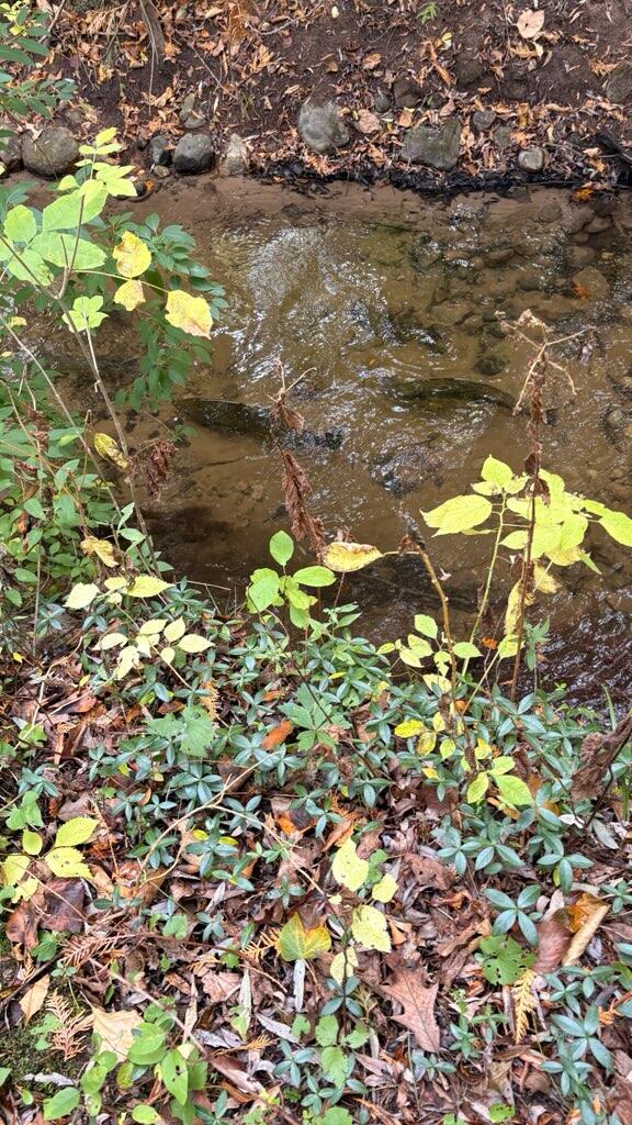 2480 South 148th Avenue Hesperia, MI 49421 - Photo 4 of 33 IMG_1516