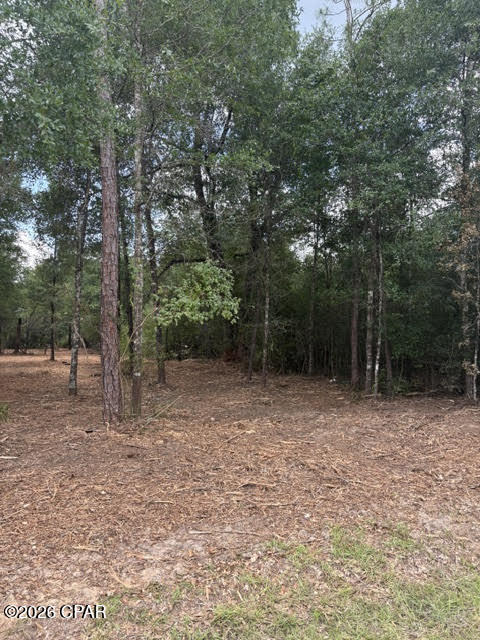 0 Forest Glen Road Fountain, FL 32438 - Photo 5 of 10