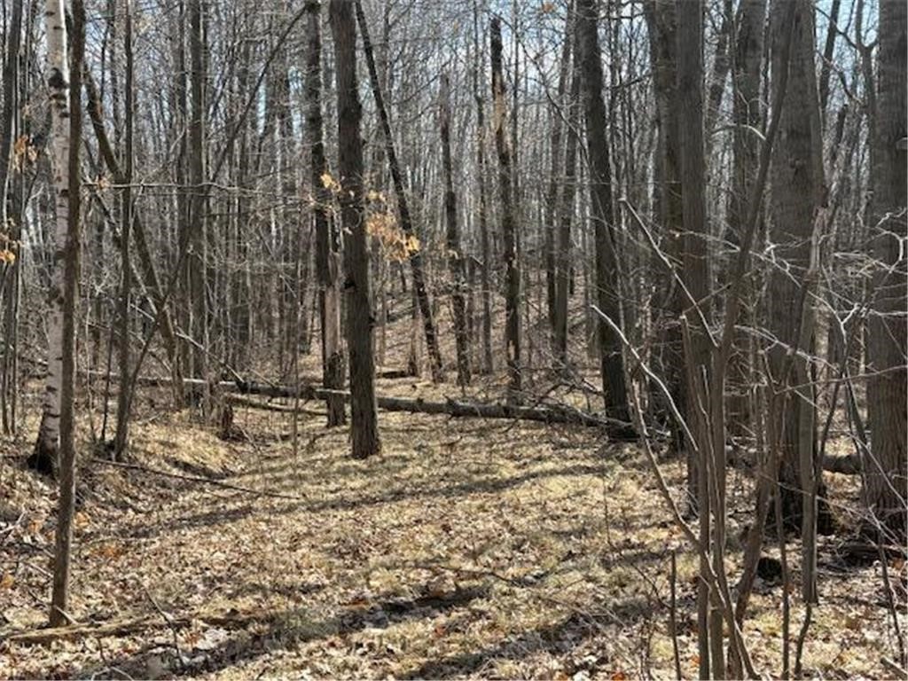 63 Barronett Wi 54871 Shell Lake, WI 54871 - Photo 12 of 24