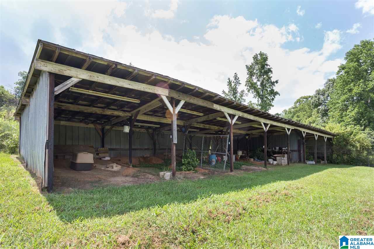881 Douglas Lane Oneonta, AL 35121 - Photo 19 of 27