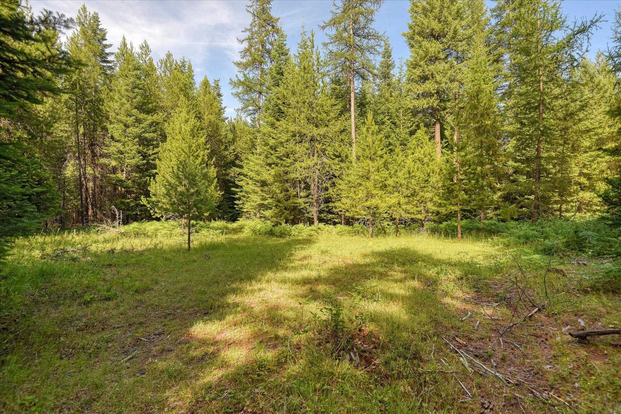 592 Doe Mdw Road Newport, WA 99156 - Photo 39 of 41 Gallery Image 39