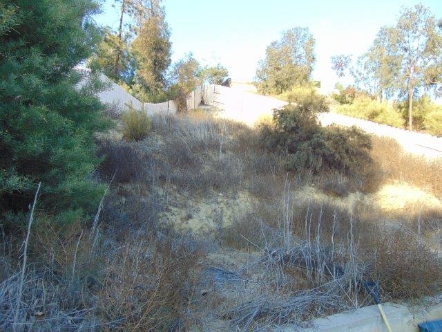 705 Cholla Road Chula Vista, CA 91910 - Photo 17 of 23