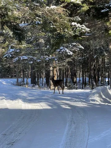 $499,000 | 378 Mingo Loop Road, Rangeley, ME 04970