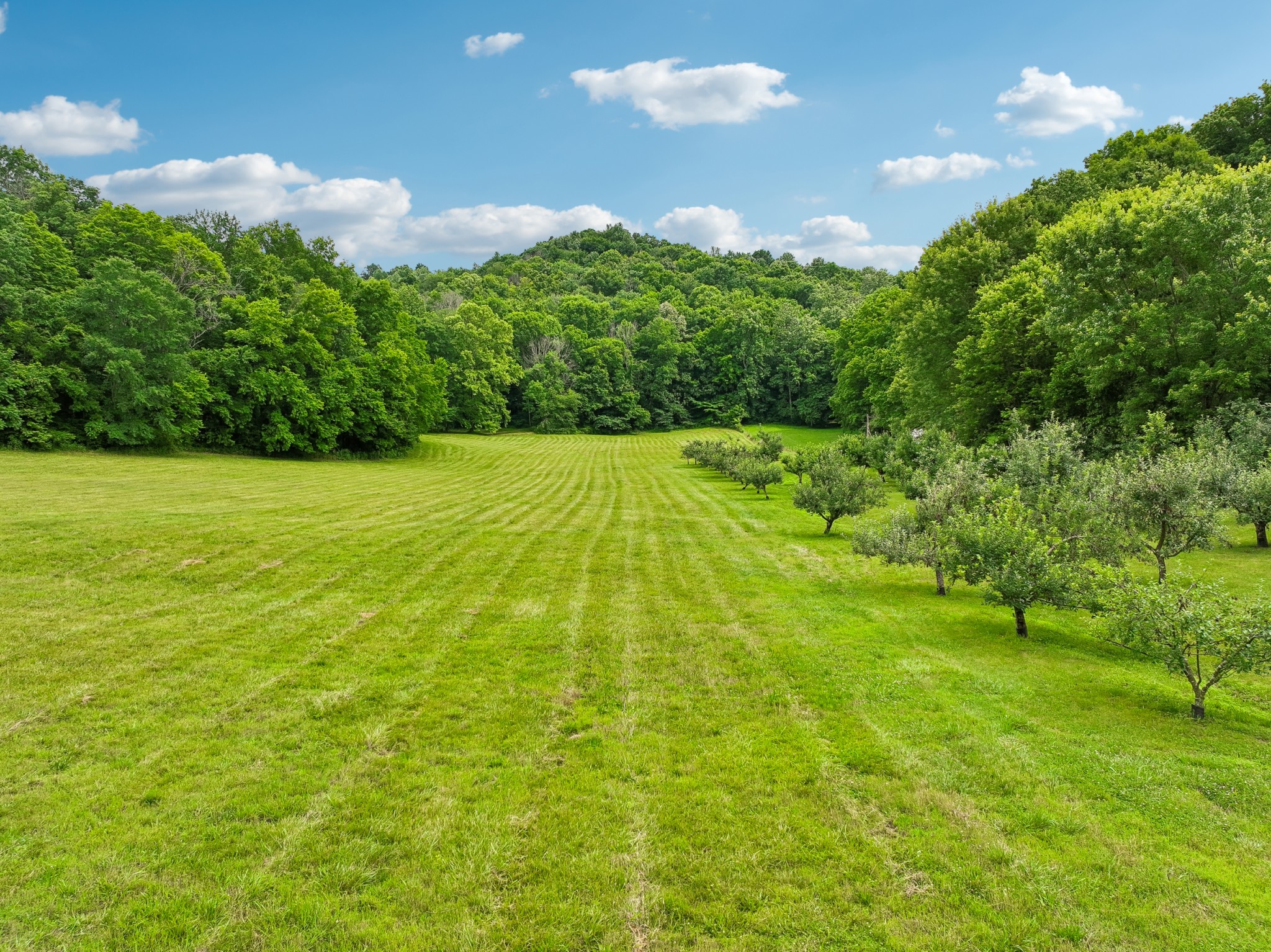 574 Hayes Ridge Road Lancaster, TN 38569 - Photo 4 of 60