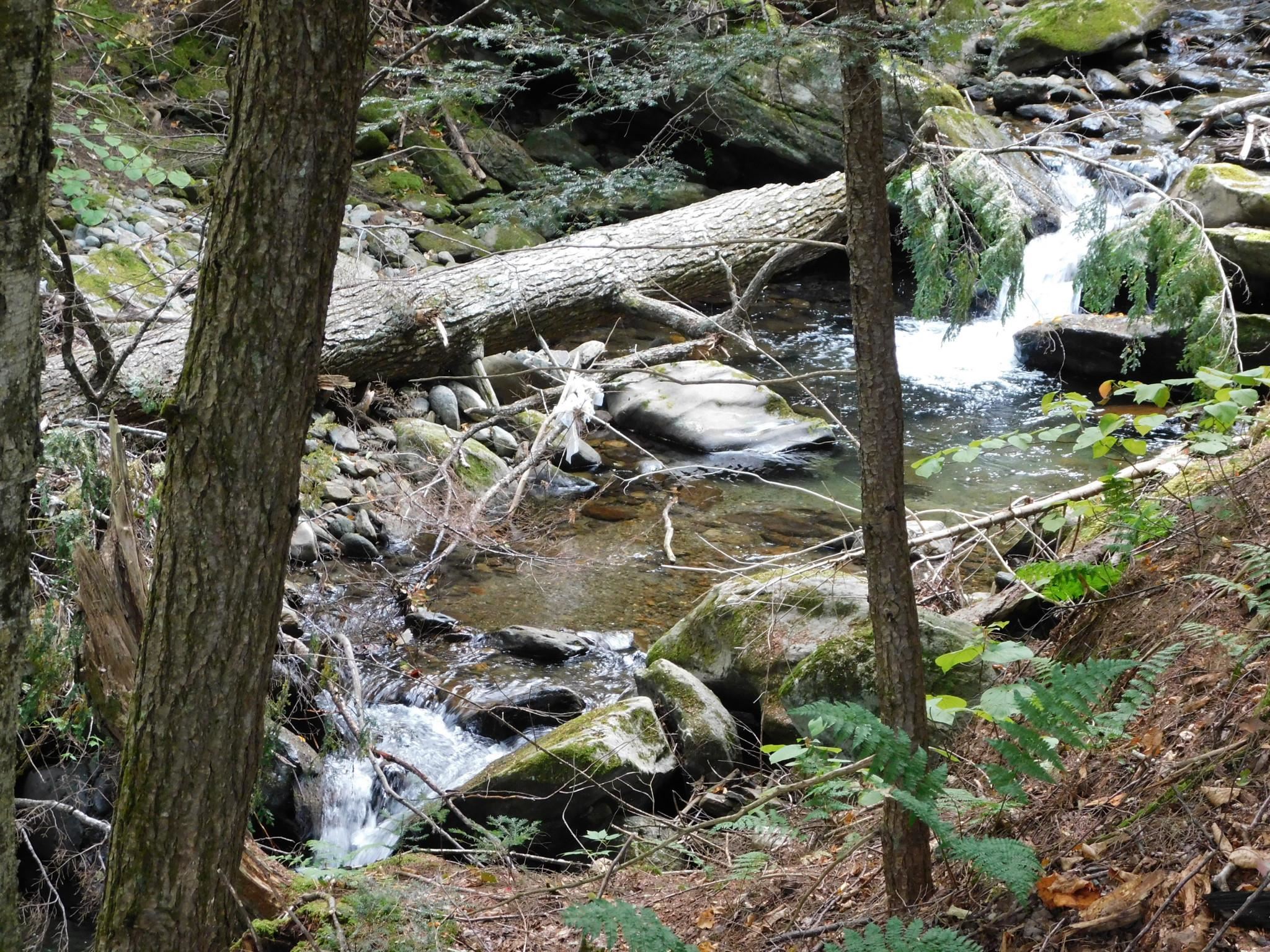 137 Old Jay-Montgomery Road Jay, VT 05859 - Photo 14 of 26 Gallery Image 14