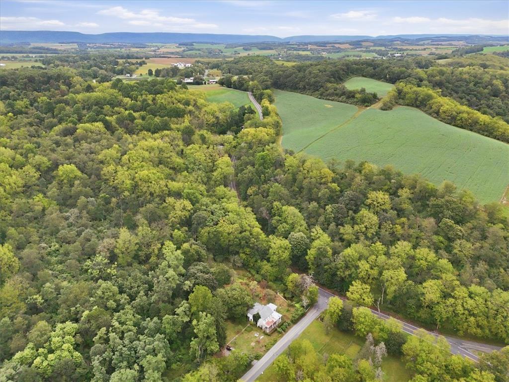 7007 Bausch Road New Tripoli, PA 18066 - Photo 70 of 72 Gallery Image 70